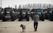 De boeren trokken met meer dan 200 tractoren naar Antwerpen. beeld AFP, Kristof van Accom