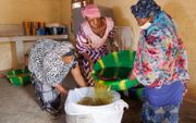 Vrouwen in Mali die olie maken. beeld AFP, Ousmane Makaveli