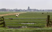 „Juist in een vruchtbare delta als Nederland, met een relatief gematigd klimaat en een hoog kennisniveau, hebben we unieke mogelijkheden voor duurzame en productieve landbouw.”beeld ANP, Vincent Jannink