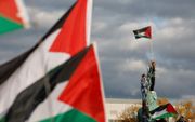 Demonstranten zwaaien in het centrum van Berlijn met Palestijnse vlaggen. beeld AFP, Odd Andersen