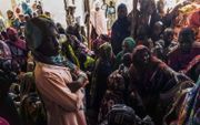 Ontheemde Sudanezen melden zich bij de Verenigde Naties in Renk, in het zuiden van Sudan. Miljoenen mensen in het Afrikaanse land zijn huis en haard ontvlucht door gevechten. beeld AFP, Ammar Yasser