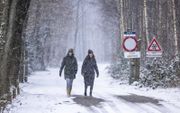 Wandelaars trotseren het winterse weer in de Vijlenerbossen in Zuid-Limburg. beeld ANP, Marcel van Hoorn