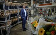 Directeur Niels van der Plas denkt dat bloemen- en plantenexporteur Intergreen zich wel door de brexit heen slaat. beeld Roel Dijkstra Fotografie