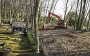 Specialisten van de politie en het Nederlands Forensisch Instituut zoeken deze week in een bosperceel in het Limburgse Beesel naar sporen van de 44 jaar geleden verdwenen tiener Marjo Winkens. beeld ANP, David Dunnaway