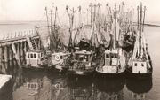 Een deel van de vissersvloot in de buitenhaven van Zoutkamp in 1969, voor de Lauwerszee werd afgesloten. beeld Visserijmuseum Zoutkamp