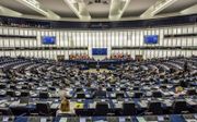Het Europees Parlement beschikt over onvoldoende democratische legitimiteit. Foto: premier Rutte sprak op 13 juni 2018 in het Europees Parlement in Straatsburg over de Nederlandse visie op de toekomst van de EU. beeld ANP, Jonas Roosens