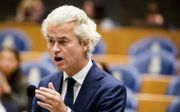 Wilders. beeld ANP