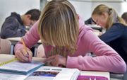Meer creatief schrijven moet ervoor zorgen dat middelbare scholieren enthousiaster zijn voor het vak Nederlands. beeld ANP, Koen Suyk