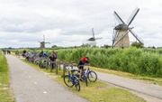 Drommen buitenlandse toeristen, waaronder veel Aziatische reizigers, nemen een kijkje bij de molens van Kinderdijk.  beeld Cees van der Wal