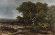 ”De heide bij Wolfheze”, Johannes Warnardus Bilders (1811-1890), olieverf op doek. beeld Rijksmuseum