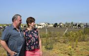 Boer Geert Meersschaert en zijn vrouw Kris van Royen bij hun koeien in het Verdronken Land van Saeftinghe. beeld Theo Haerkens