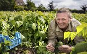Veganistische boer Peet de Krom tussen de plantjes met sperziebonen. De Krom gebruikt geen dierlijke producten in zijn bedrijf. beeld Dirk Hol