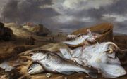 Visstilleven, door Pieter van Schaeyenborgh.  beeld Stedelijk Museum Alkmaar