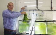 Directeur John van Leeuwen in het laboratorium van Seaweed Harvest Holland in het Zeeuwse Kamperland. beeld Van Scheyen Fotografie