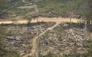 Een houtkapplaats in een bos bij Boulikhamsai, Laos. Ontbossing bedreigt het voortbestaan van veel soorten planten en dieren en draagt bij aan de klimaatverandering. beeld AFP, Hoang Dinh Nam