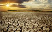 Ernstige droogte en een economische crisis zorgen voor een schrijnende situatie. beeld iStock
