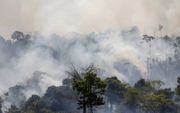 Dat er nu zoveel bosbranden in Zuid-Amerika woeden, heeft niet alleen natuurlijke maar ook politieke oorzaken. Foto: bosbranden in de Braziliaanse deelstaat Pará. beeld AFP, Joao Laet