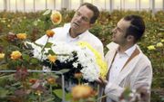 Bloemarrangeur Ton Verzijl (l.) uit Wassenaar selecteert met Roy van Kester van veredelingsbedrijf Dümmen Orange bloemen voor de decoratie van de Ridderzaal tijdens Prinsjesdag.  beeld VidiPhoto