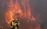 Bosbrand in Spanje. beeld EPA, David Arjona