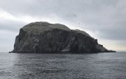Bass Rock, 107 meter hoog. beeld RD