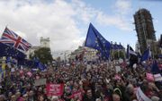 Rond het parlementsgebouw lieten zich zaterdag honderdduizenden demonstranten voor en tegen brexit zien.  beeld AFP, Isabel Infantes