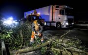 Hulpdiensten halen in 2016 takken en boomstammen van de weg in de buurt van het Franse Calais. Migranten probeerden de afgelopen jaren regelmatig wegen te blokkeren om zo vrachtwagens tot stoppen te dwingen. Vervolgens proberen ze in de vrachtruimte te kl