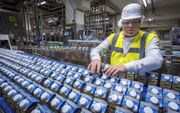 Het is Nederland gelukt om op een efficiënte en duurzame manier melk te verwerken en op grote schaal te exporteren. Foto: productielijn in een vestiging van zuivelconcern Friesland Campina. beeld ANP, Lex van Lieshout