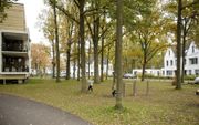 Behoud van oude bomen in het Stadhouderspark in Vught. beeld BPD-ontwikkeling