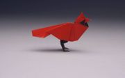 De Amerikaanse origamikunstenaar Robert J. Lang ontwierp een rode kardinaal van papier.  beeld Robert J. Lang