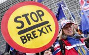 Demonstranten houden borden met de leus ”Stop brexit” vast. beeld EPA, Stephanie Lecocq