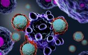 Driedimensionale weergave van T-cellen die tumorcellen aanvallen.  beeld iStock