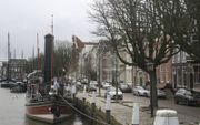 Kastanjes aan de Wolwevershaven in Dordrecht. De stad werd onlangs uitgeroepen tot Wereldbomenstad, in navolging van steden als New York, Toronto en Parijs. beeld André Bijl