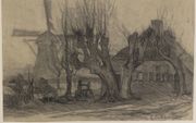 ”Dutch trees, Elspeet”, Douglas Hamilton. beeld Noord-Veluws Museum