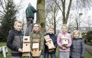 Leerlingen van de Willem Farelschool in Hoevelaken hingen vorige week nestkastjes op ter bestrijding van de eikenprocessierups.  beeld RD, Anton Dommerholt