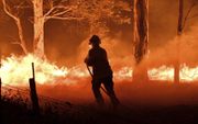 „We kunnen ons blindstaren op het ene maar het andere vergeten. Wie heeft het nog over de bosbranden in Australië?” beeld AFP, Saeed Khan
