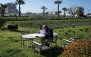 Een werknemer bekijkt wat documenten bij een biologische landbouwcoöperatie in Barcelona. De bedrijvigheid in de Spaanse tuinbouw staat momenteel onder druk vanwege de coronacrisis. beeld EPA, Enric Fontcuberta