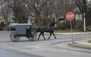 De Amish leven in de Amerikaanse staten Ohio en Pennsylvania nagenoeg in afzondering. beeld Riekelt Pasterkamp