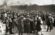 Selectie van Hongaarse Joden bij Auschwitz II-Birkenau Poland, mei 1944: ze moesten werken of ze werden naar de gaskamer gestuurd. Foto uit de collectie Auschwitz Album. beeld Wikimedia