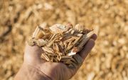 „Wat is biomassa? Er zijn tientallen soorten, tientallen toepassingen. Daar begint de spraakverwarring al in de discussie.” beeld iStock