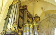 Het orgel in de Martinikerk in Groningen. beeld RD