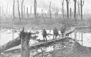 Soldaten tijdens de Eerste Wereldoorlog in een beschoten bos bij Ieper. beeld Wikimedia