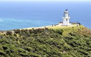 Cape Reigna, op het noordelijkste punt van Nieuw-Zeeland, maakt kans op plaatsing op de werelderfgoedlijst van Unesco. beeld Marius Bremmer