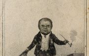 Jaapje van Zandvoort was met zijn 84 centimeter en 14 kilogram in zijn tijd de beroemdste kleine mens in Nederland.  beeld RD
