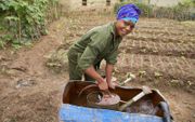 Door het werk van Woord en Daad kregen de afgelopen vijf jaar 921.852 mensen een verbeterde toegang tot water en sanitair (Sustainable Development Goal nummer 6). Foto: schoon water in Benin. beeld Jaco Klamer