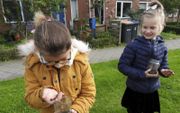IJverig speuren kinderen van De Wartburg naar bodemdieren. beeld Kees van Reenen