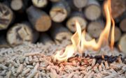 Houtpellets –fijngeperste houtkorrels– vormen een belangrijke duurzame energiebron in binnen- en buitenland, maar staan ter discussie. beeld iStock