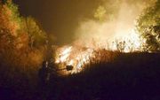 Bosbranden in Oekraïne. beeld EPA