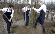Chef-koks Martin Faber (l.), Maurice Rutten (m.) en Maarten de Weert dinsdag aan het werk bij boomkwekerij De Batterijen in Ochten. beeld VidiPhoto