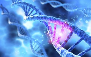 „In DNA-moleculen komen van nature nooit zwavelatomen en dus kunnen er ook geen bruggen tussen zwavelatomen zijn.” beeld iStock