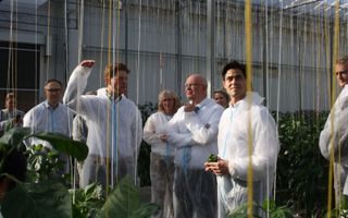 De ministers Staghouwer (Landbouw) en Jetten (Klimaat & Energie) krijgen uitleg van paprikateler Wouter en uit Bleiswijk. beeld Glastuinbouw Nederland